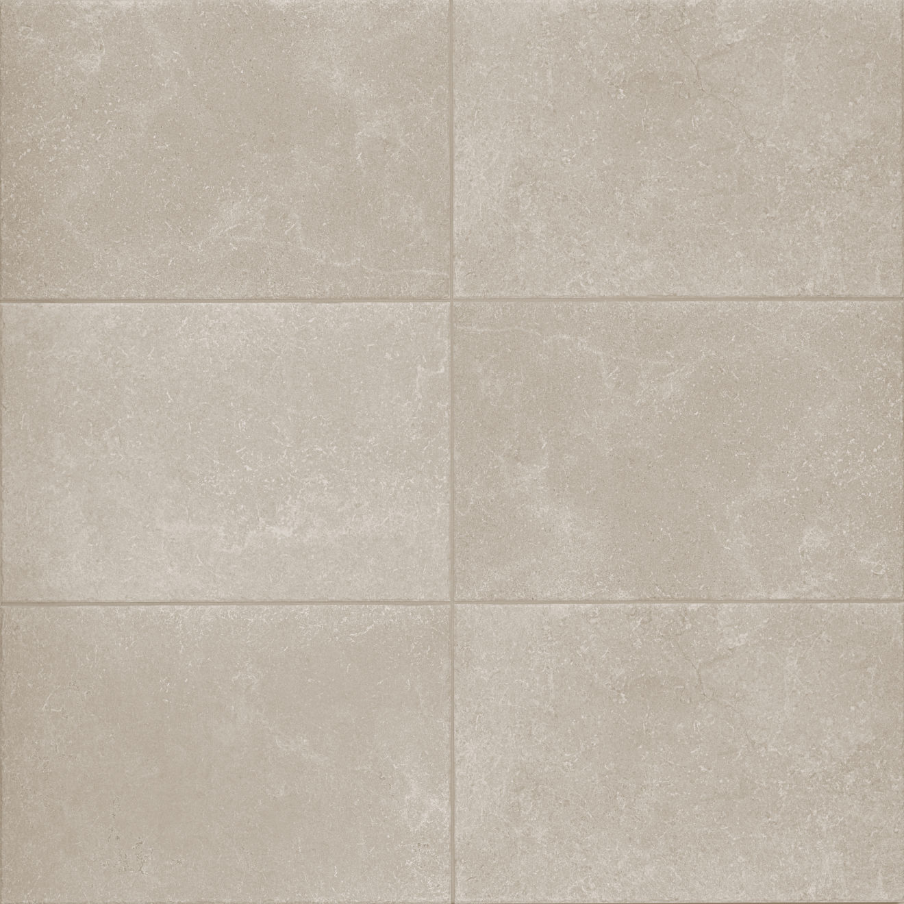 Pietra Ionica 16"x24" Matte Porcelain Tile in Pepe