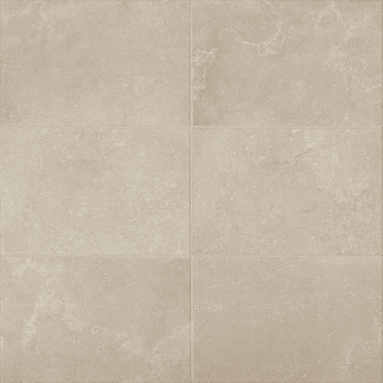 Pietra Ionica 16"x24" Matte Porcelain Tile in Beige
