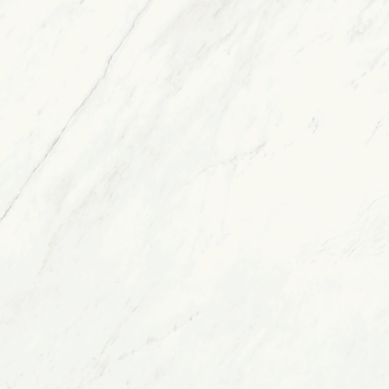 Magnifica Nineteen Forty-Eight 48" x 48" - 8mm Honed Porcelain Tile in Luxe White