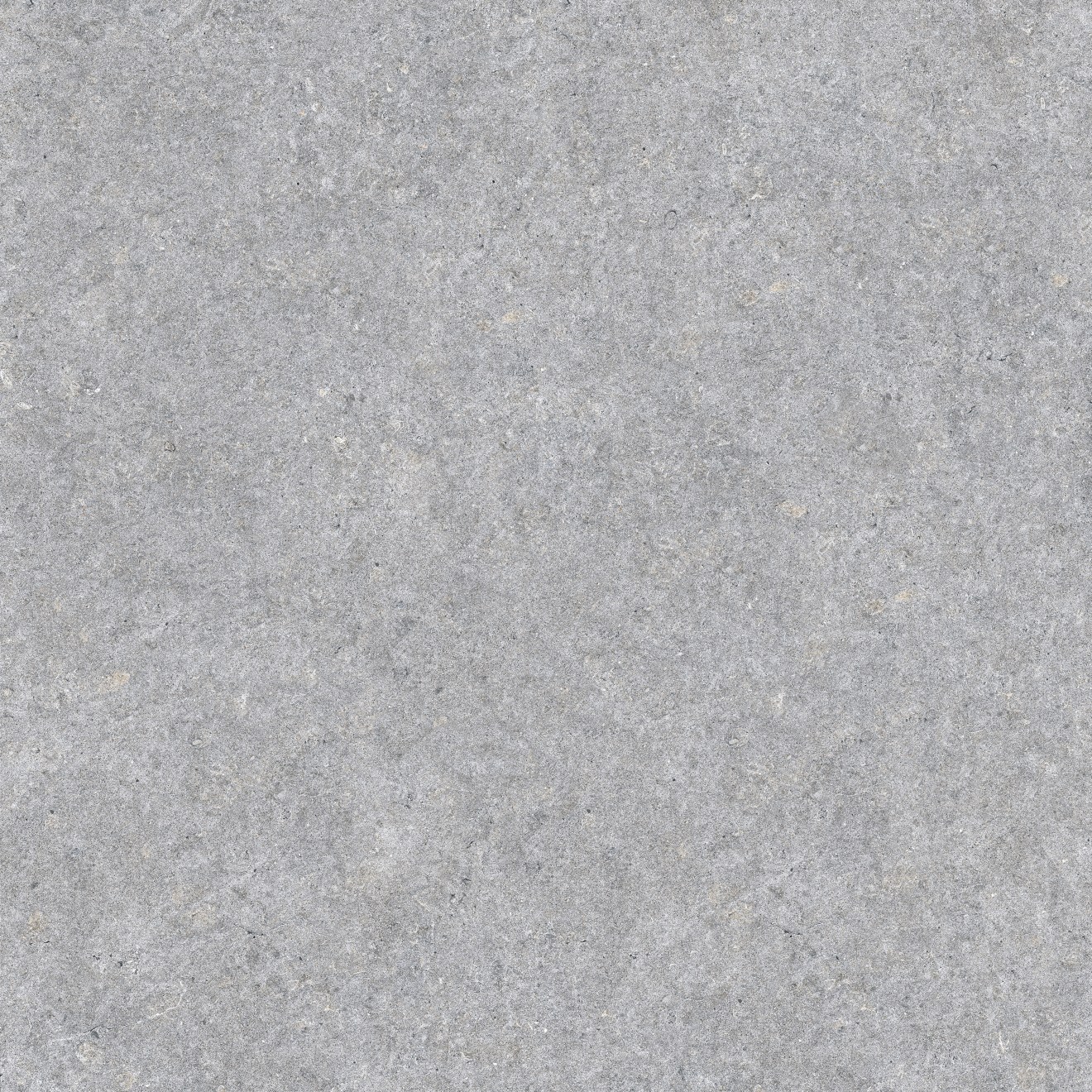Magnifica Nineteen Forty-Eight 48" x 48" - 8mm Polished Porcelain Tile in Shell Beach