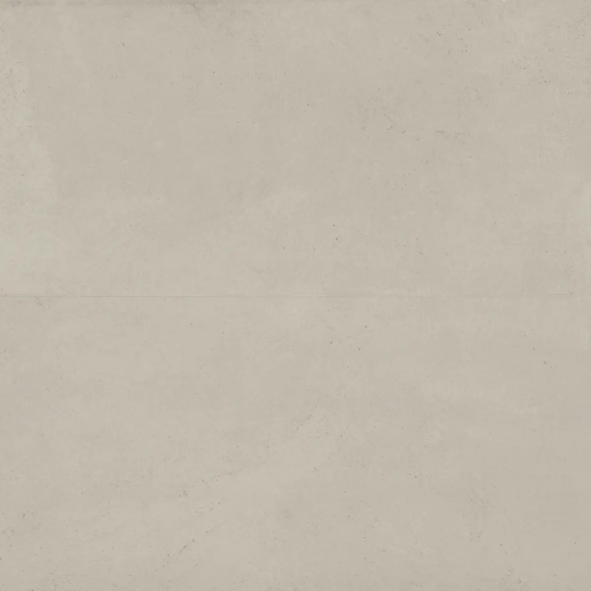 Thaddeus 24" x 48" Matte Porcelain Tile in Pearl