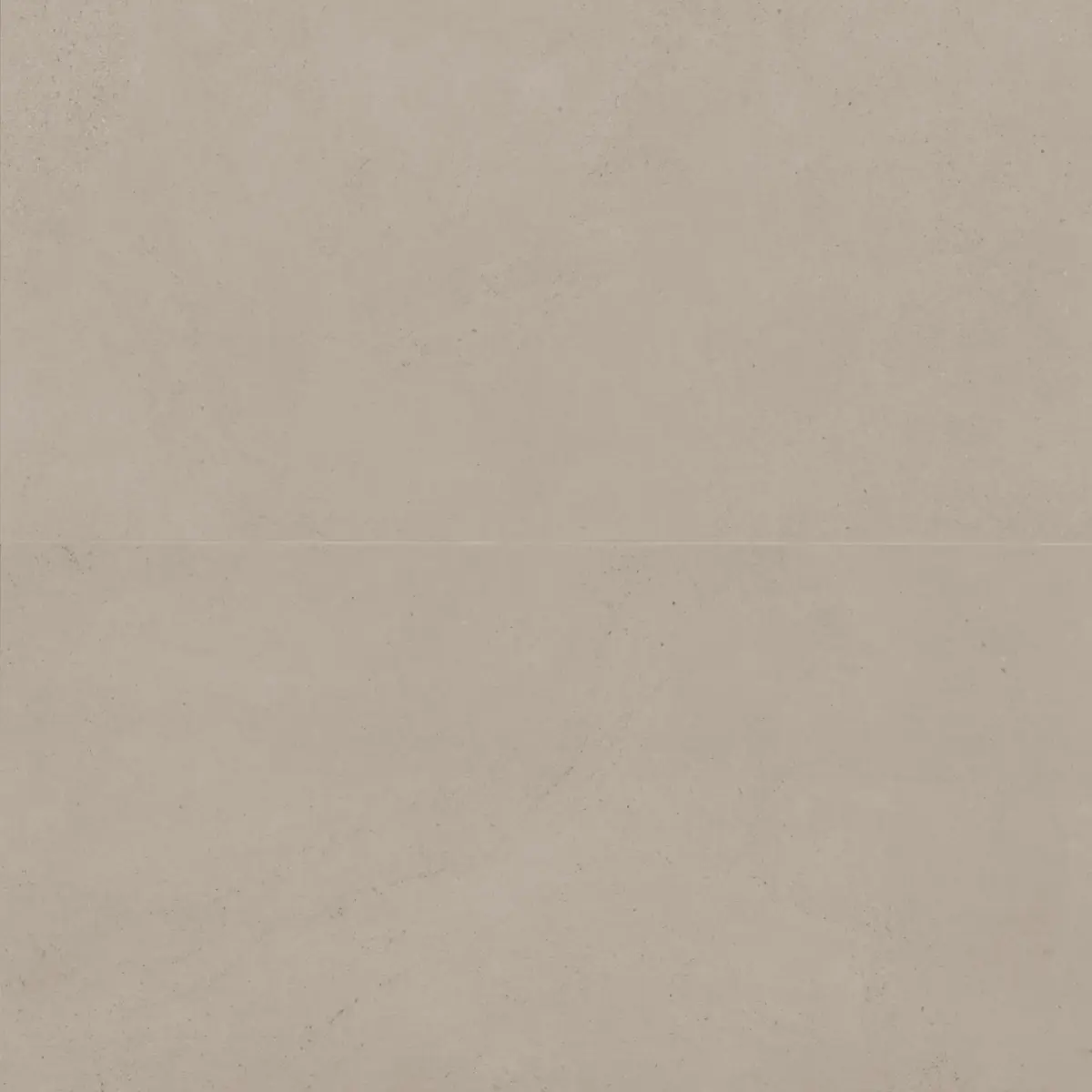Thaddeus 24" x 48" Matte Porcelain Tile in Taupe