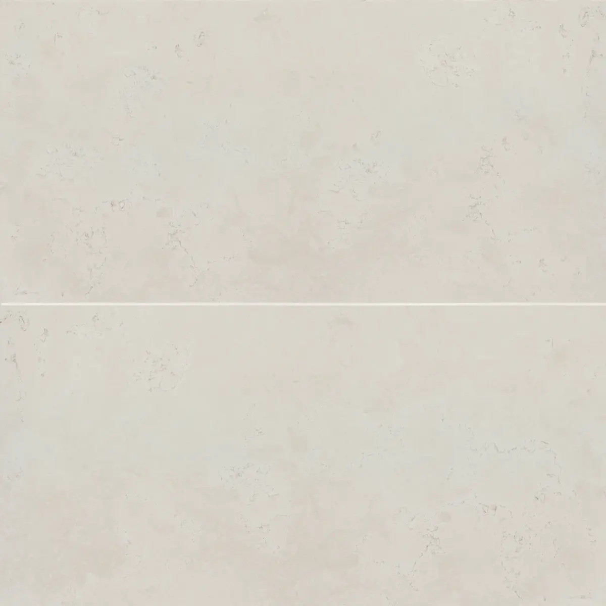Thaddeus 24" x 48" Matte Porcelain Tile in White