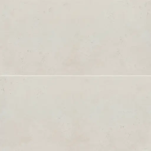 Thaddeus 24" x 48" Matte Porcelain Tile in White