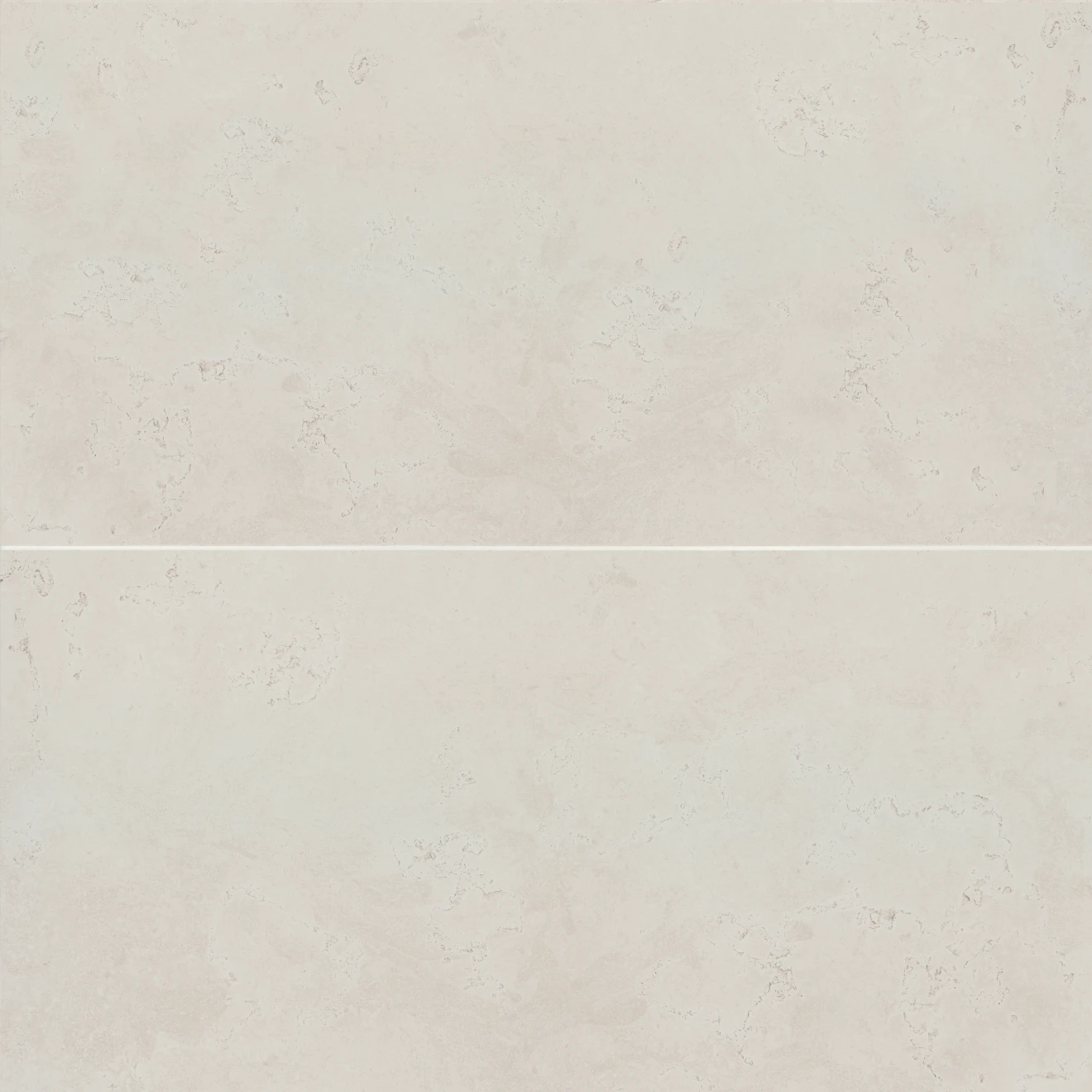 Thaddeus 24" x 48" Matte Porcelain Tile in White