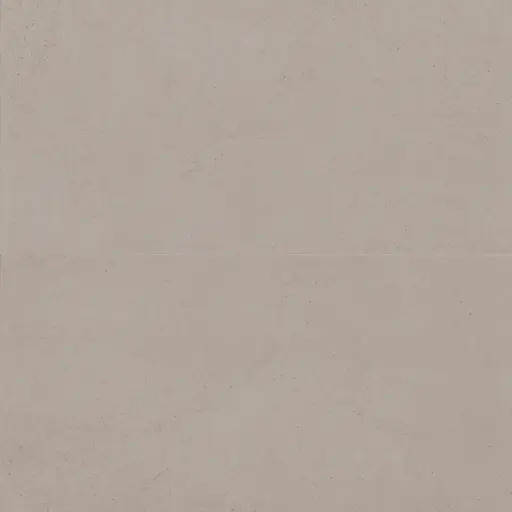 Thaddeus 24" x 48" Matte R11 Anti-Slip Rated Porcelain Tile in Taupe