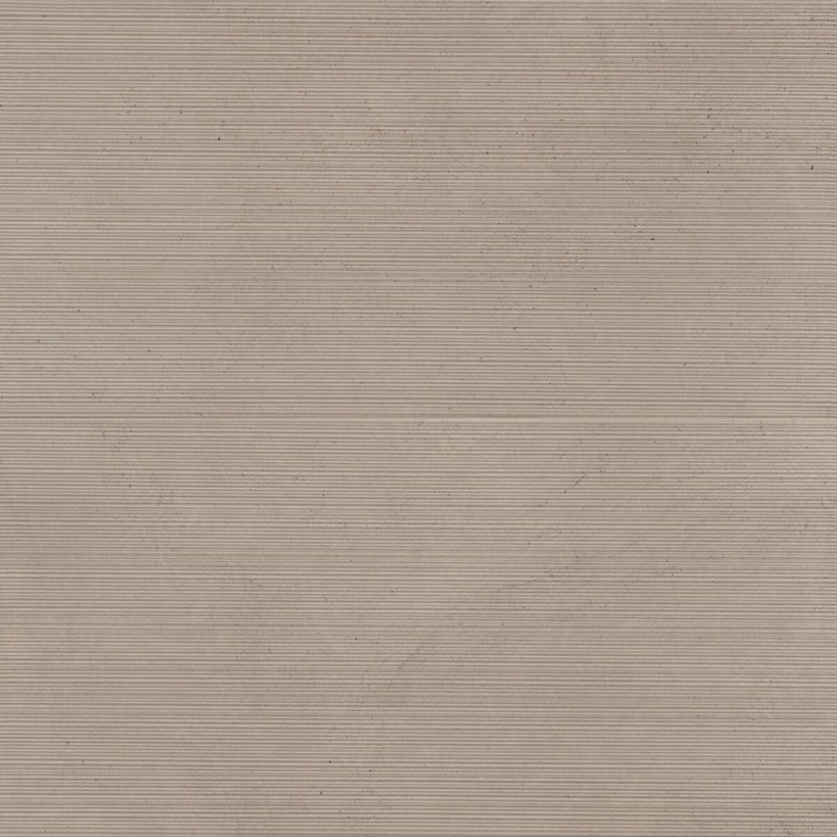 Thaddeus 24" x 48" Matte Porcelain Decorative Tile in Taupe