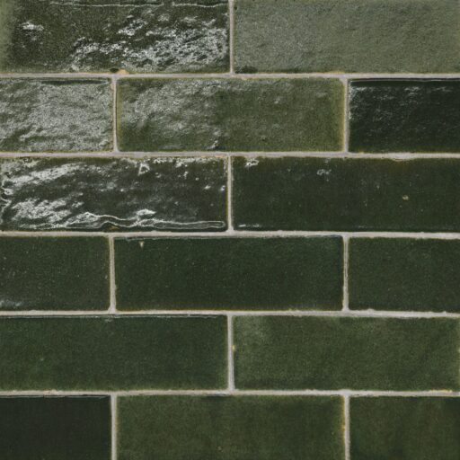 Zagora 2x6 Field Tile Vert Mousse Gloss