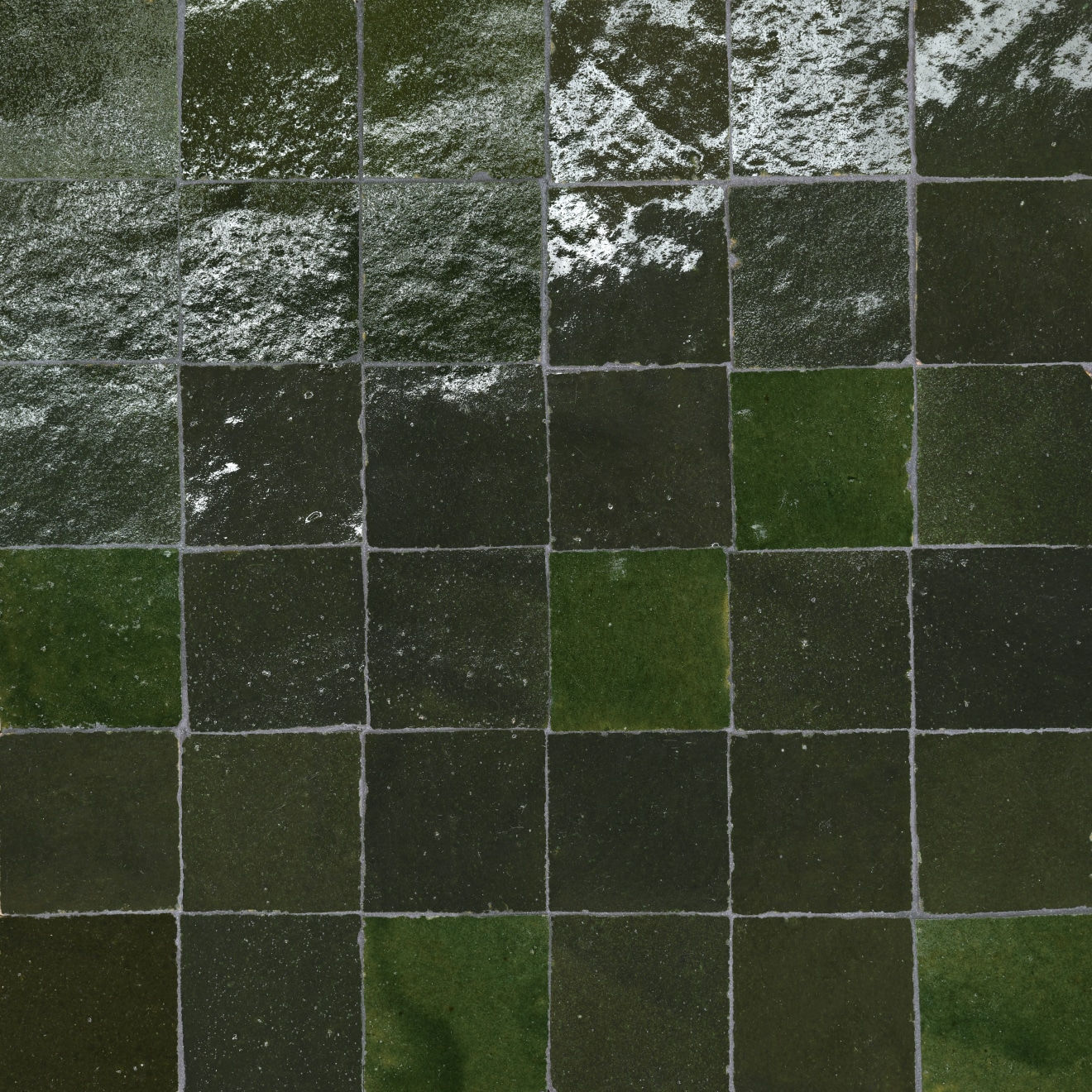 Zagora 2x2 Mosaic Vert Mousse Gloss