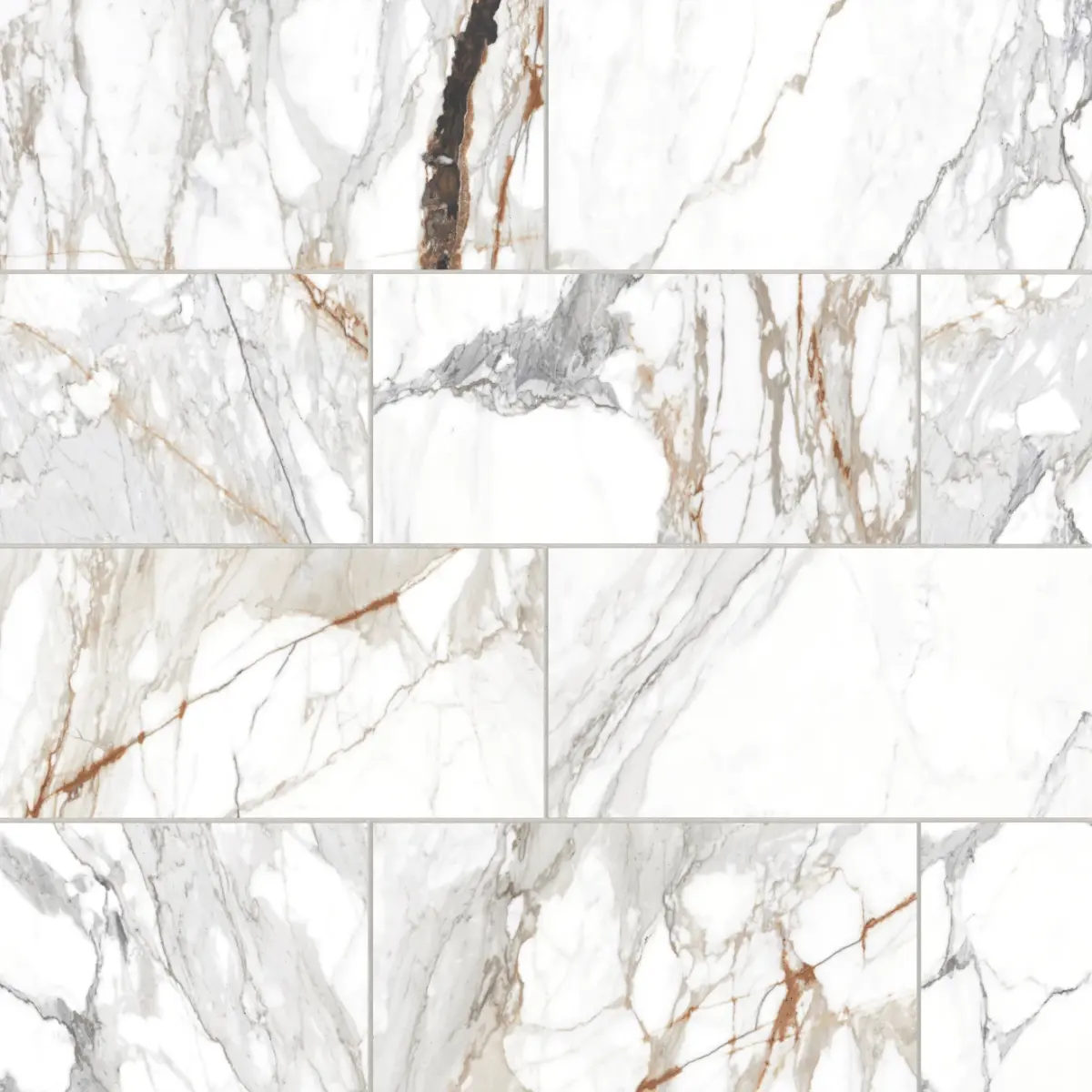 Prati 12" x 24" Honed Porcelain Field Tile in Calacatta Macchia Vecchia