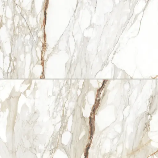Prati 24" x 48" Honed Porcelain Field Tile in Calacatta Macchia Vecchia