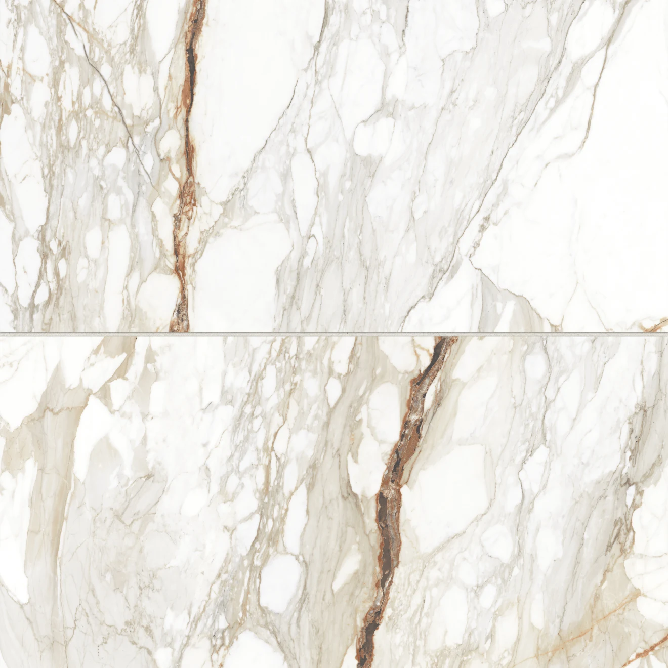 Prati 24" x 48" Honed Porcelain Field Tile in Calacatta Macchia Vecchia