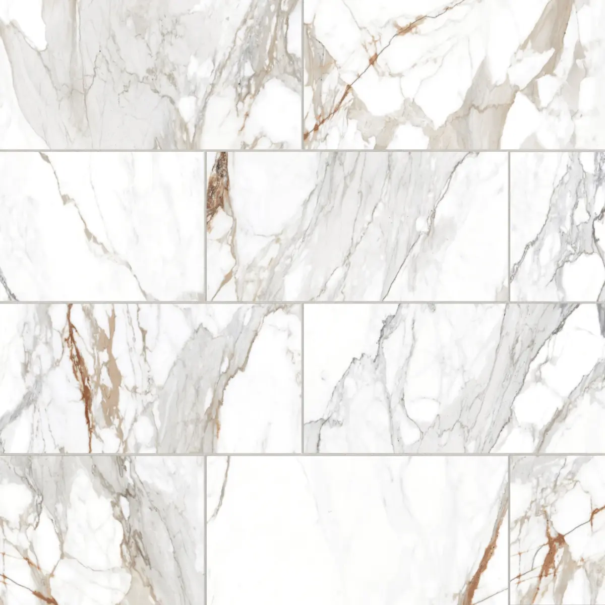 Prati 12" x 24" Polished Porcelain Field Tile in Calacatta Macchia Vecchia