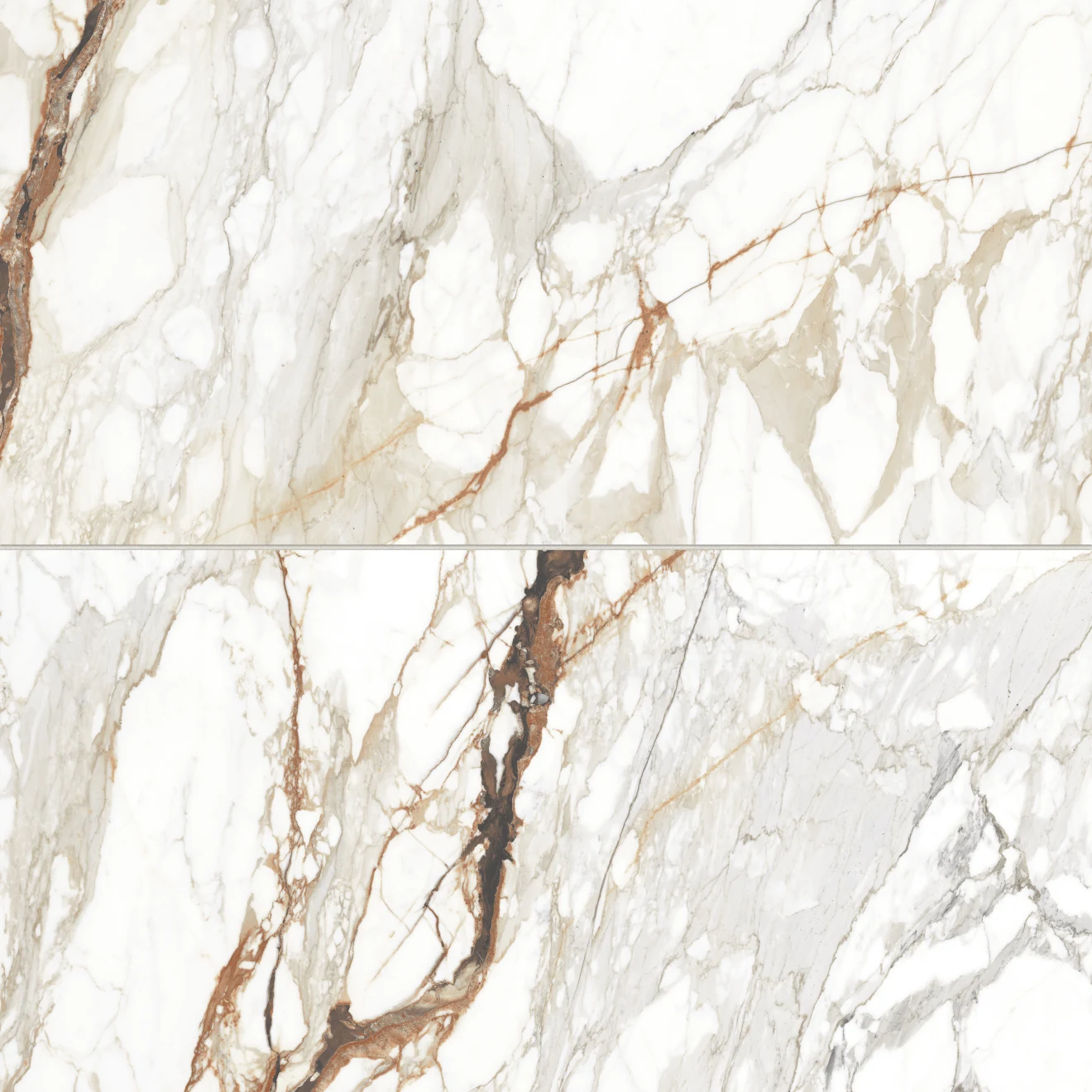 Prati 24" x 48" Polished Porcelain Field Tile in Calacatta Macchia Vecchia
