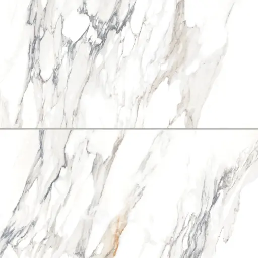 Prati 24" x 48" Honed Porcelain Field Tile in Calacatta Borghini Warm