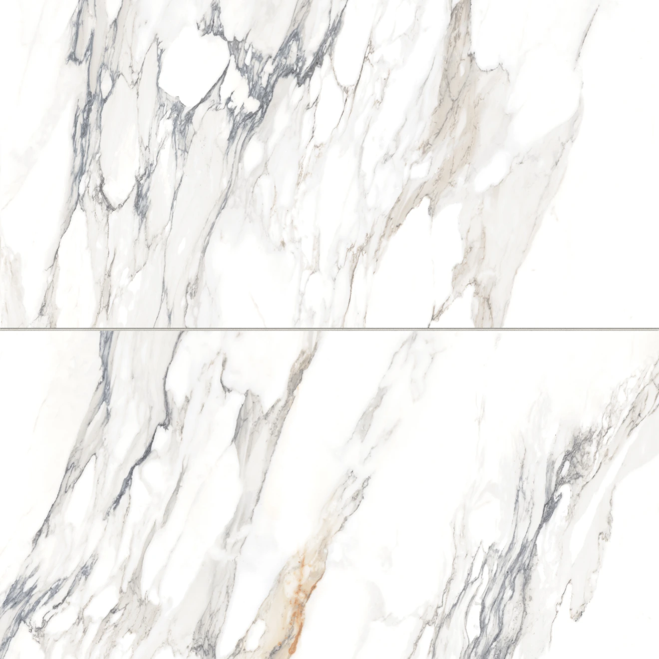 Prati 24" x 48" Honed Porcelain Field Tile in Calacatta Borghini Warm