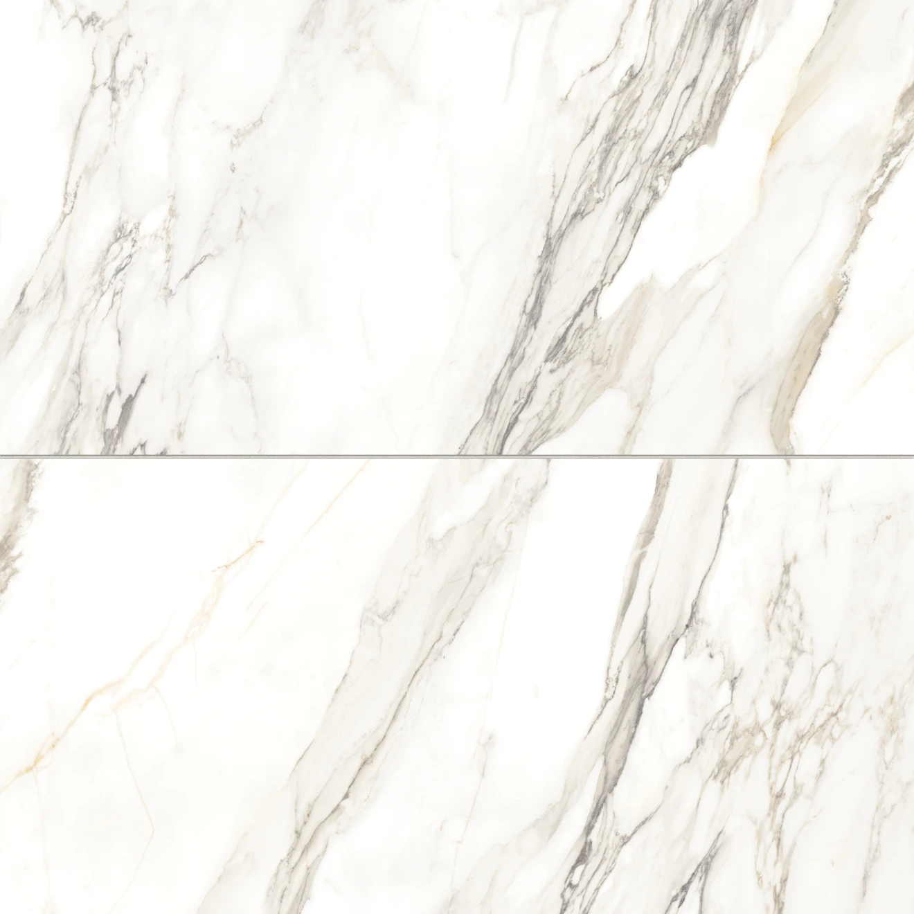 Prati 24" x 48" Polished Porcelain Field Tile in Calacatta Borghini Warm