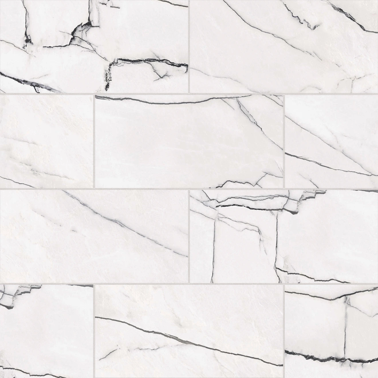 Gemma 12" x 24" Honed Porcelain Field Tile in Bianca