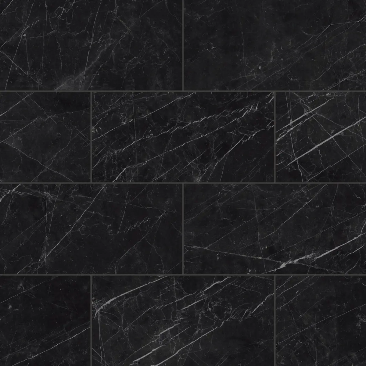 Gemma 12" x 24" Honed Porcelain Field Tile in Notte