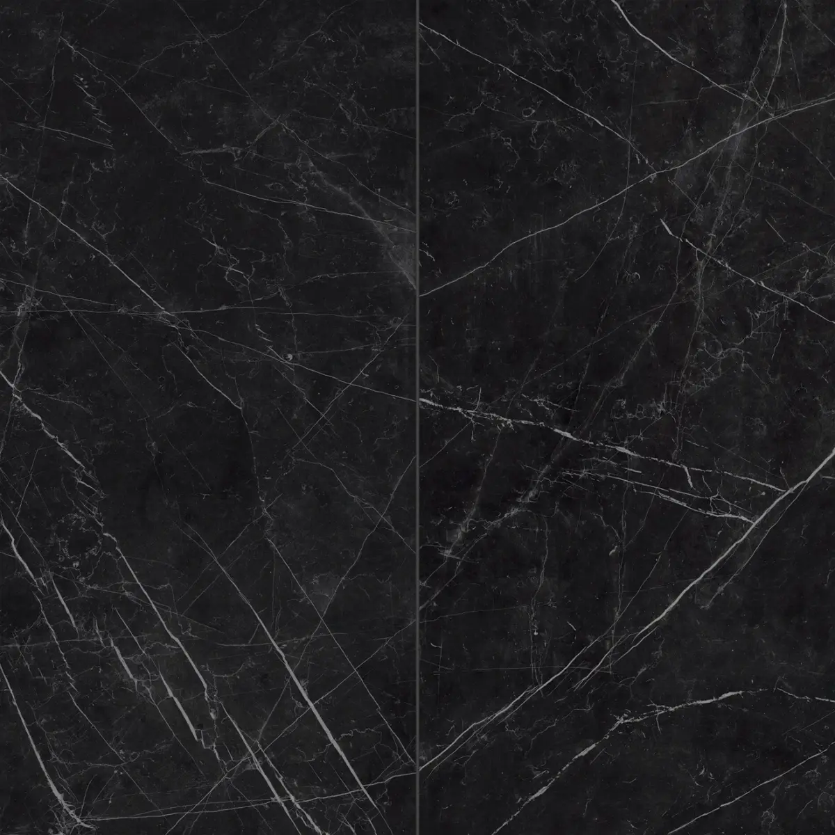 Gemma 24" x 48" Honed Porcelain Field Tile in Notte