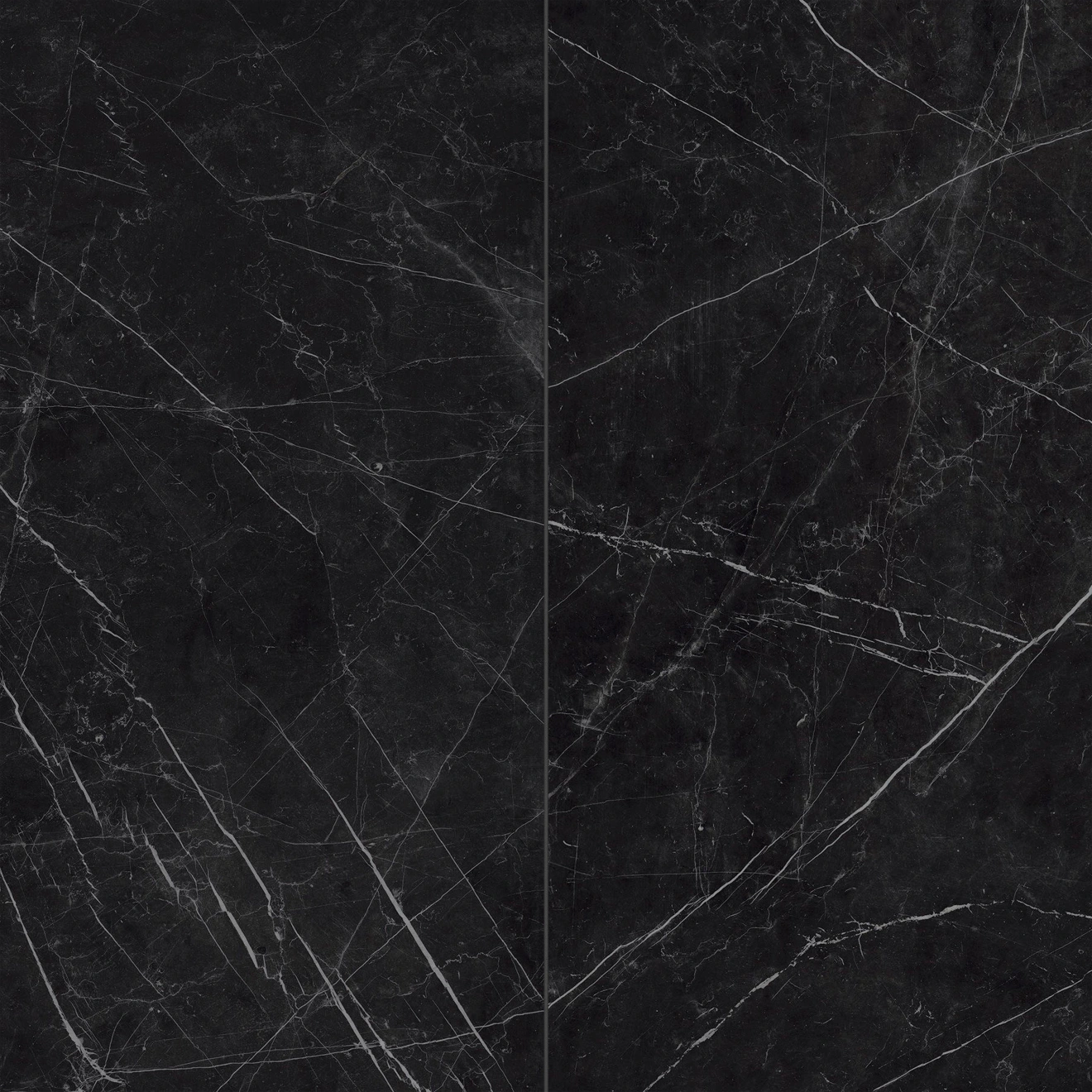 Gemma 24" x 48" Honed Porcelain Field Tile in Notte