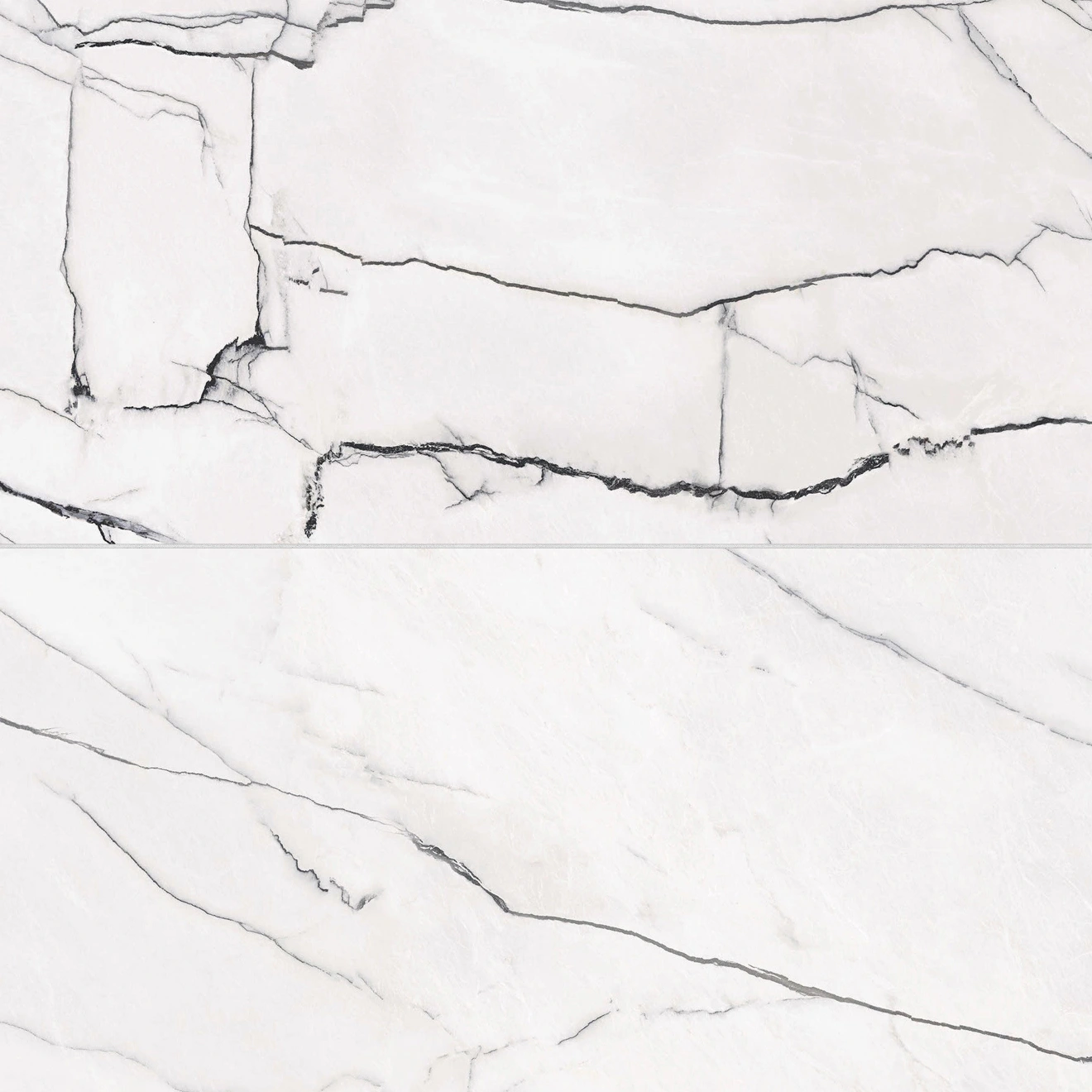 Gemma 24" x 48" Polished Porcelain Field Tile in Bianca