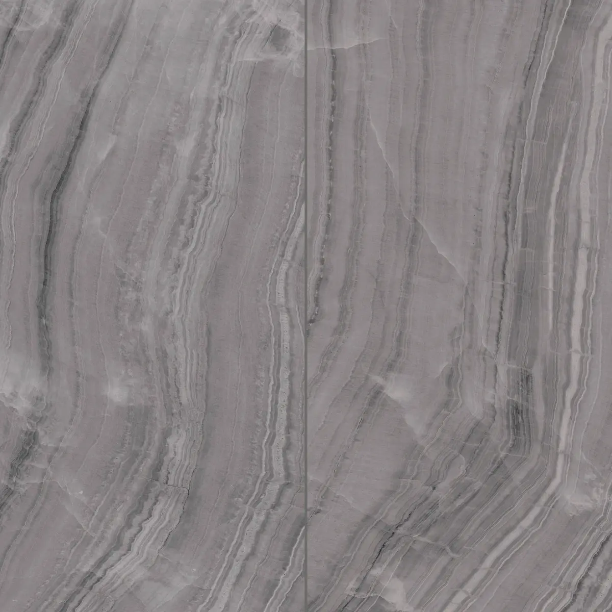 Gemma 24" x 48" Polished Porcelain Field Tile in Grey Onyx