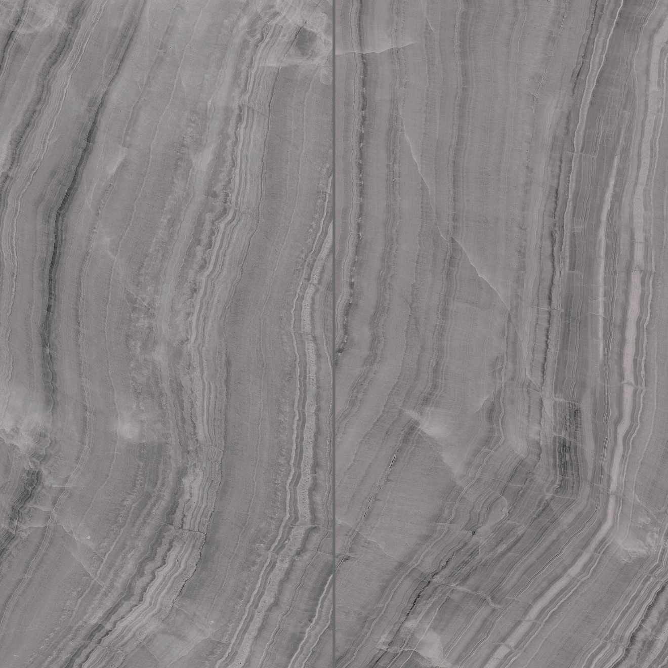 Gemma 24" x 48" Polished Porcelain Field Tile in Grey Onyx