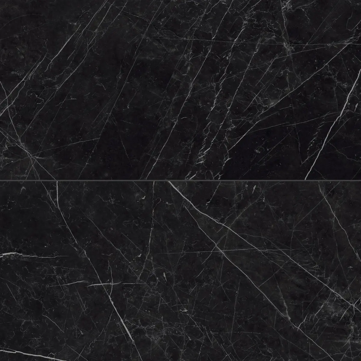 Gemma 24" x 48" Polished Porcelain Field Tile in Notte