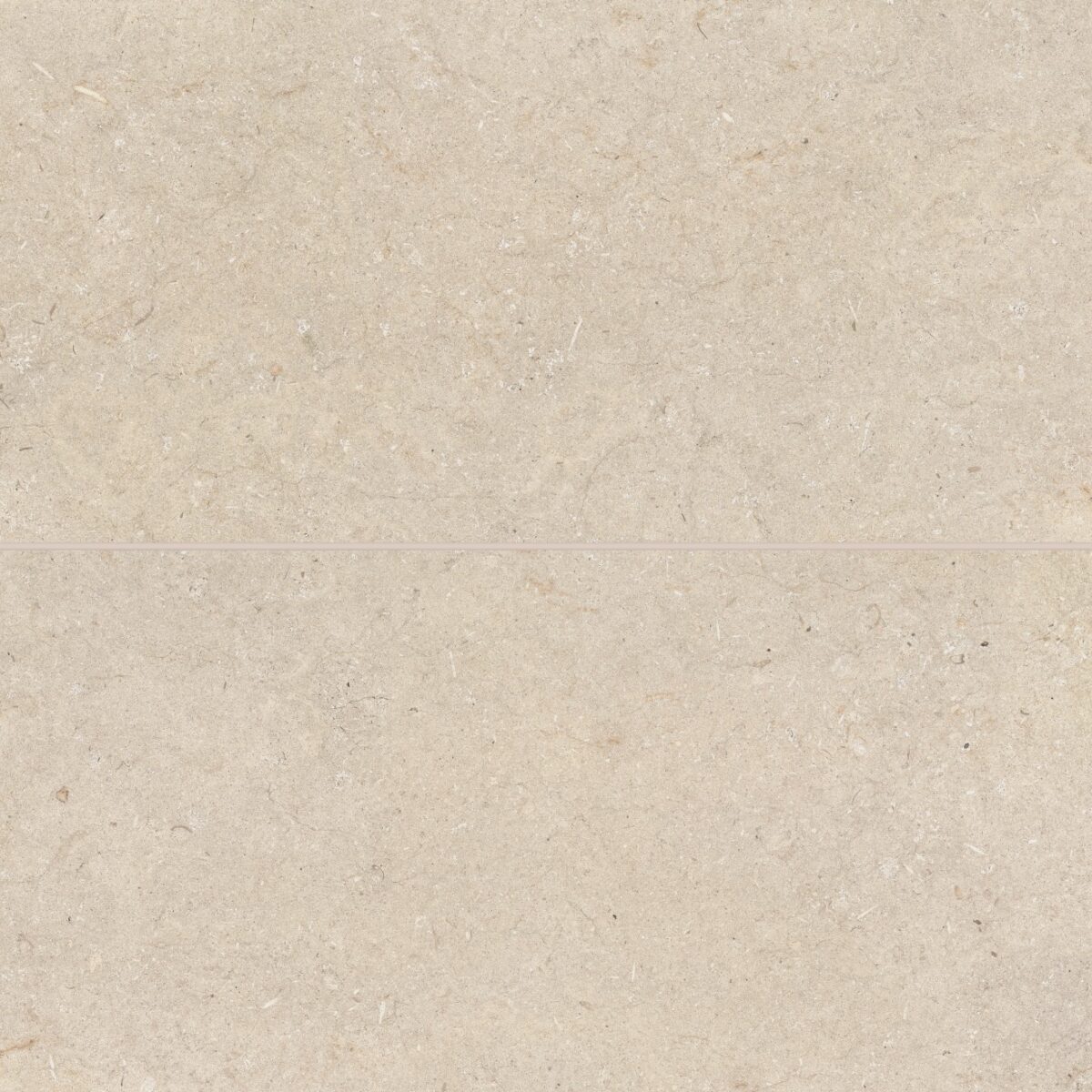 Poetry Stone 24" x 48" Matte Porcelain Field Tile in Beige