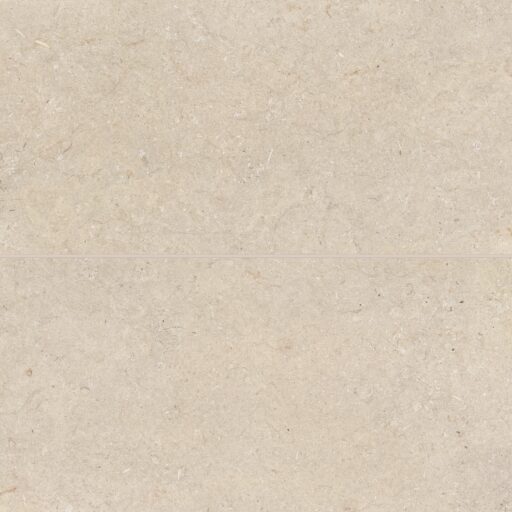 Poetry Stone 24" x 48" Matte Porcelain Field Tile in Beige