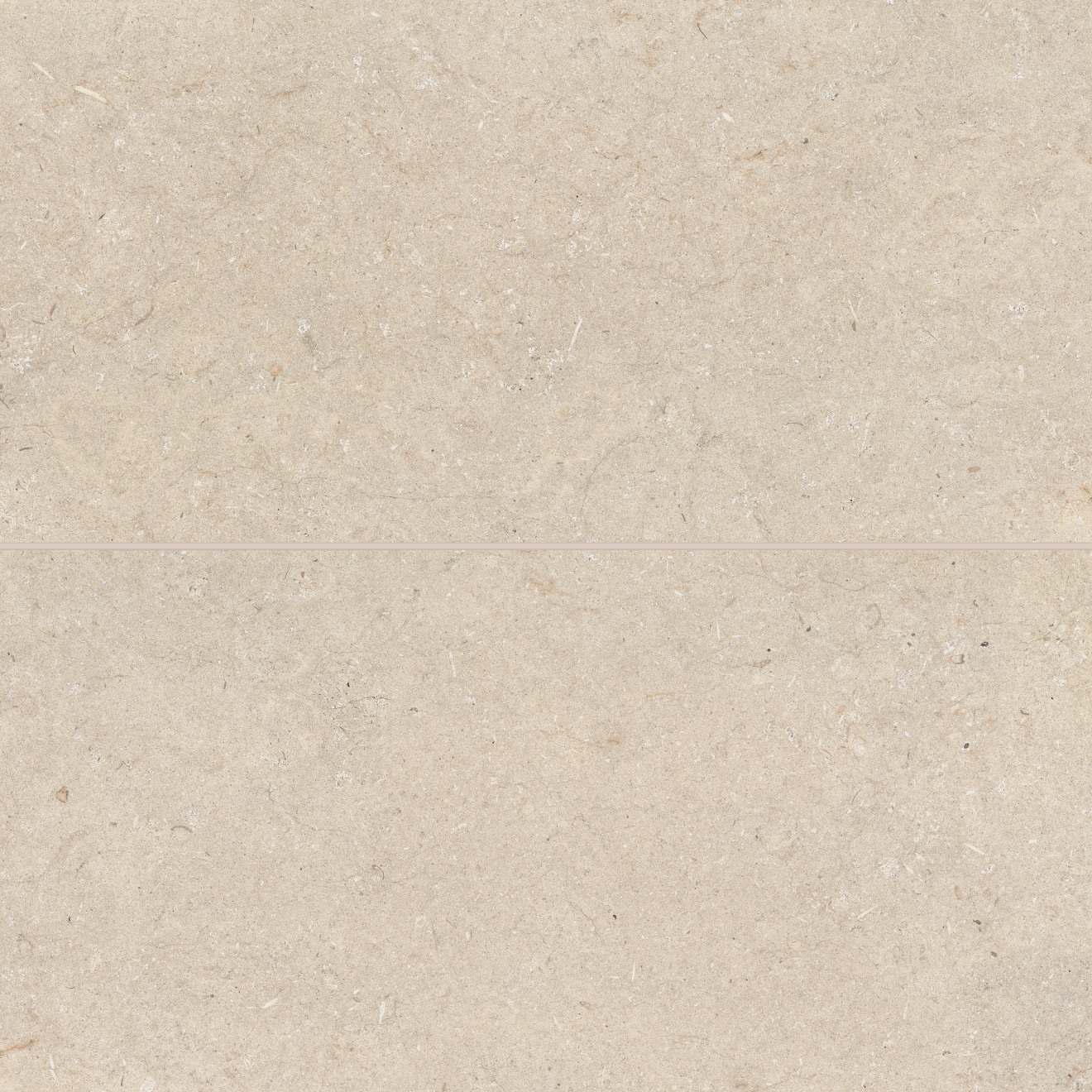 Poetry Stone 24" x 48" Matte Porcelain Field Tile in Beige