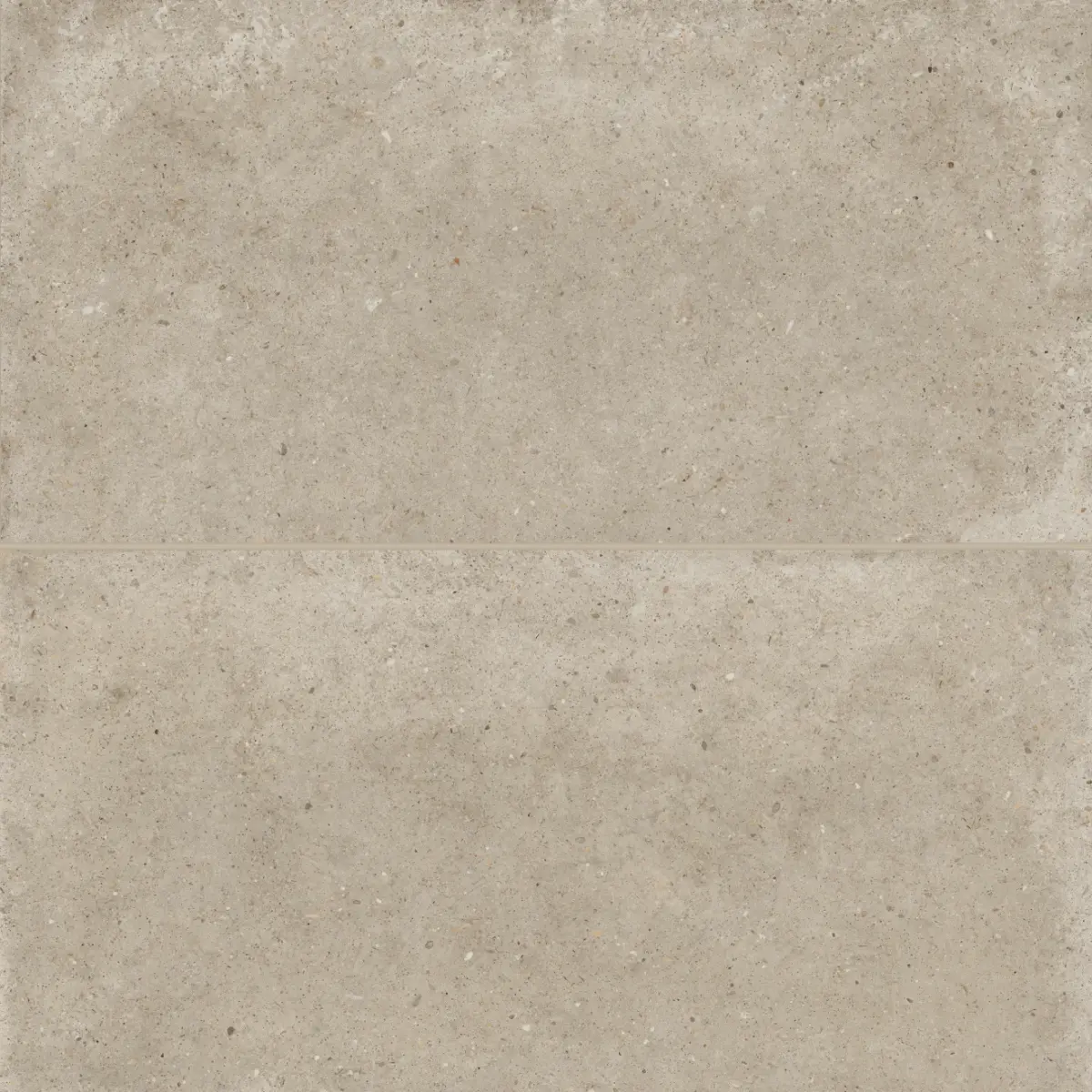 Poetry Stone 24" x 48" Matte Porcelain Field Tile in Ecru