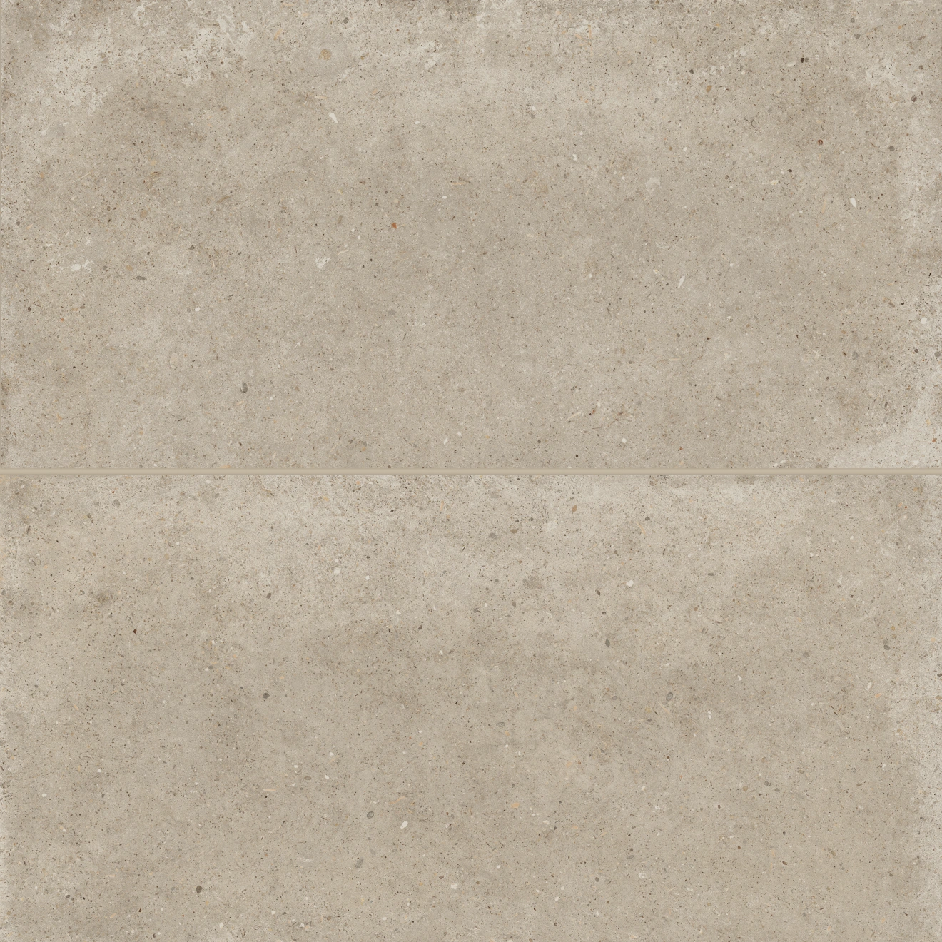 Poetry Stone 24" x 48" Matte Porcelain Field Tile in Ecru