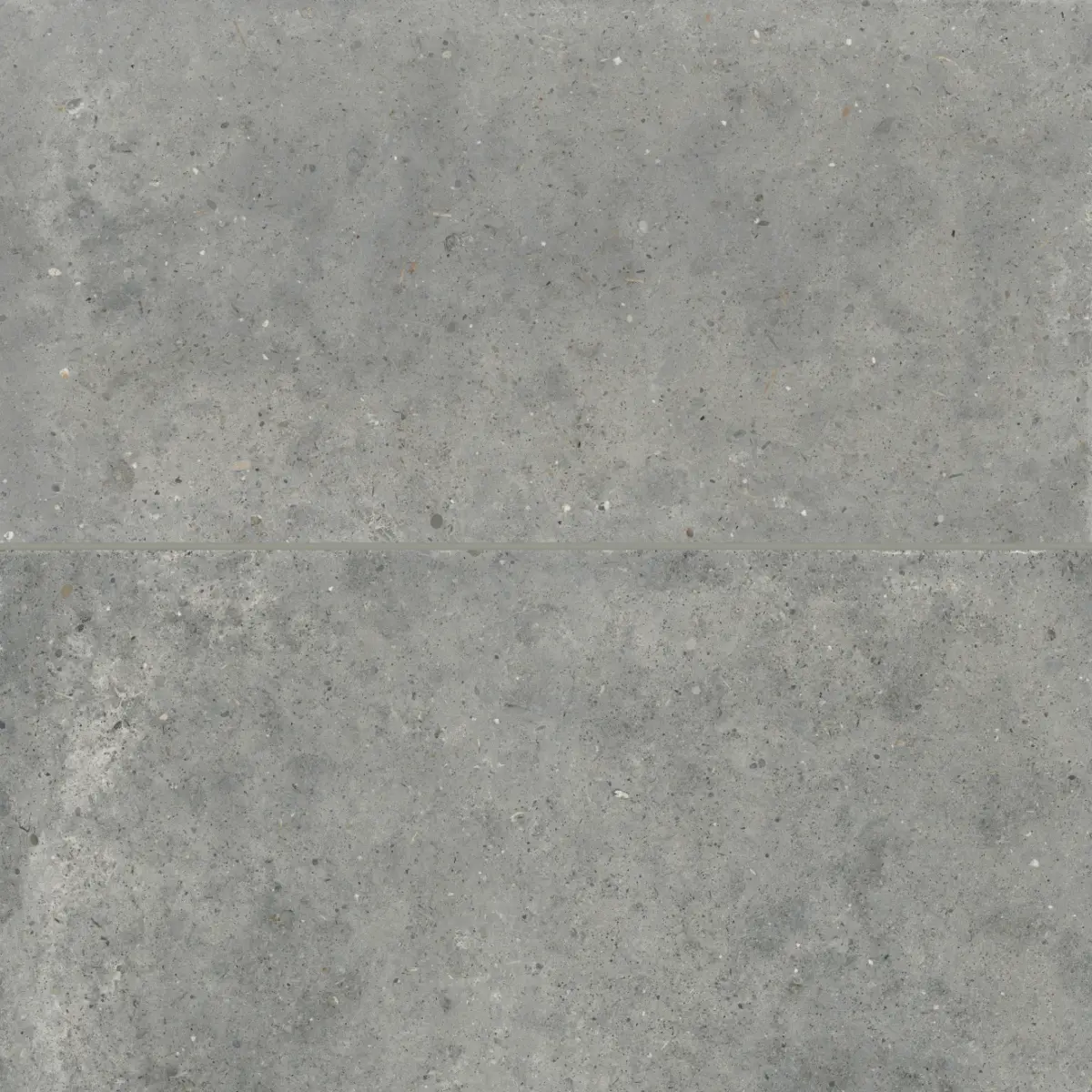 Poetry Stone 24" x 48" Matte Porcelain Field Tile in Grey