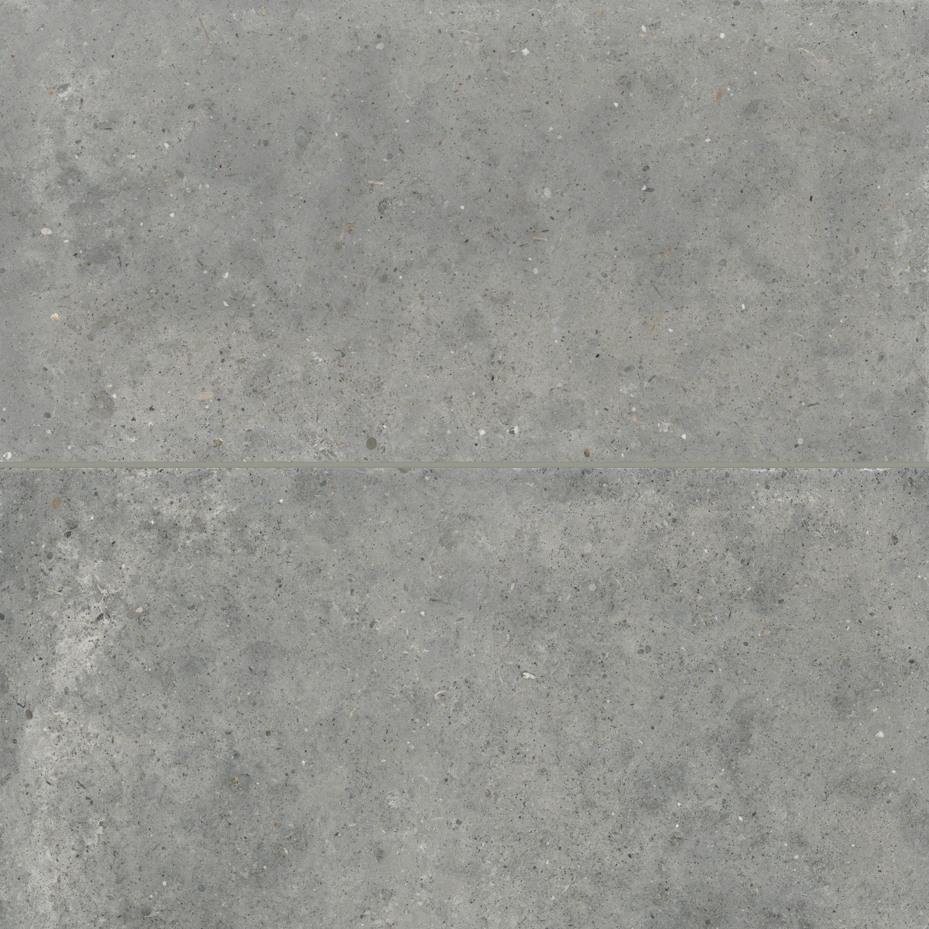 Poetry Stone 24" x 48" Matte Porcelain Field Tile in Grey