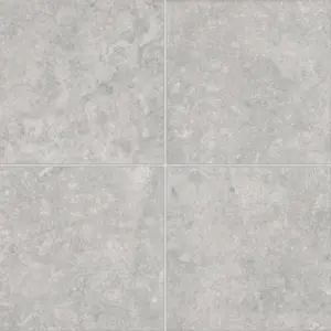 Lanai 24" x 24" Matte R11 Anti-Slip Rated Porcelain Paver in Dark Grey
