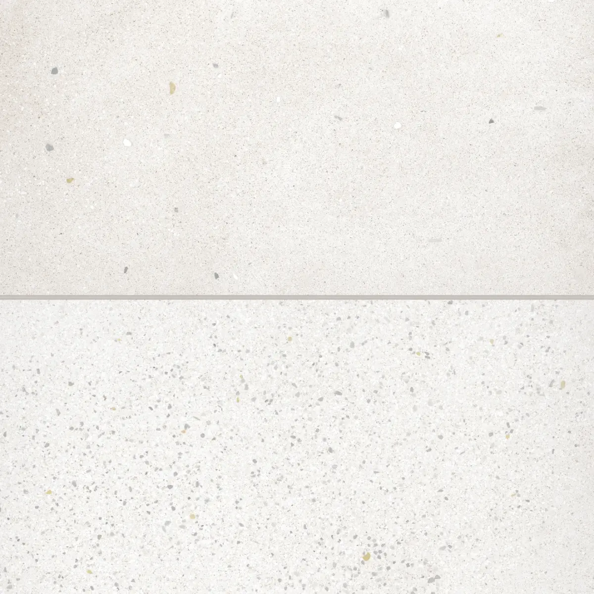Area 51 24" x 48" Matte Porcelain Paver in White