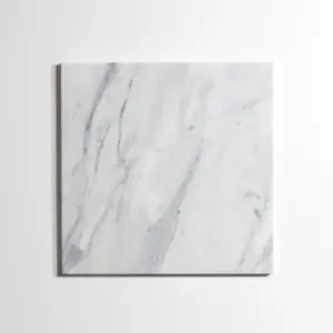 Calacatta 12" x 12"