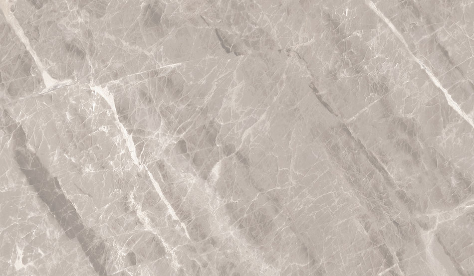 Nambia Taupe 24x48 Polished Nambia