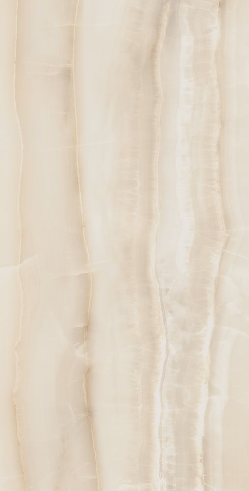 Akoya Ivory Matte 24 X 48