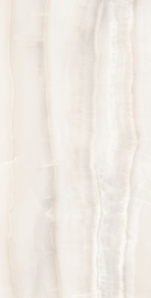 Akoya White Matte 24 X 48