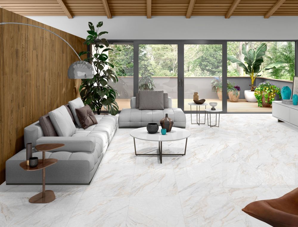 Aurum Calacatta Polished 24 X 48