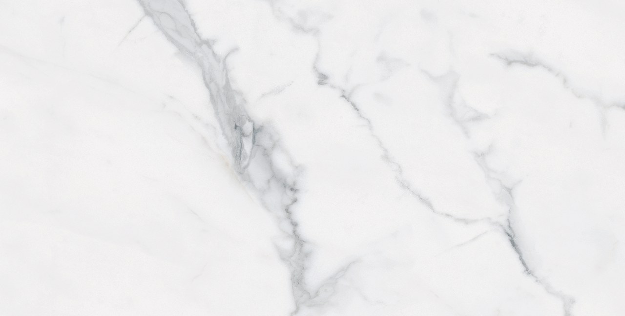 Bianco Venatino Ii Up 12X24 R