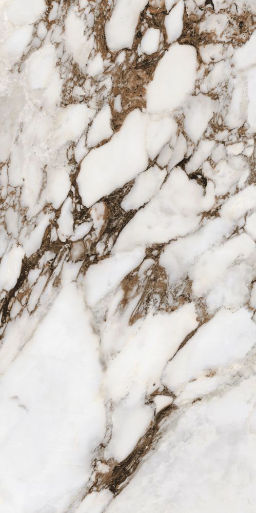 Bijoux Breche Capraia Matte 24 X 48