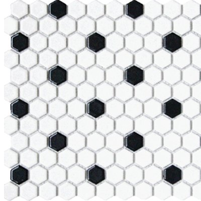 Mg Wh/Blk 12X12 Mos. Hexagon 1X1