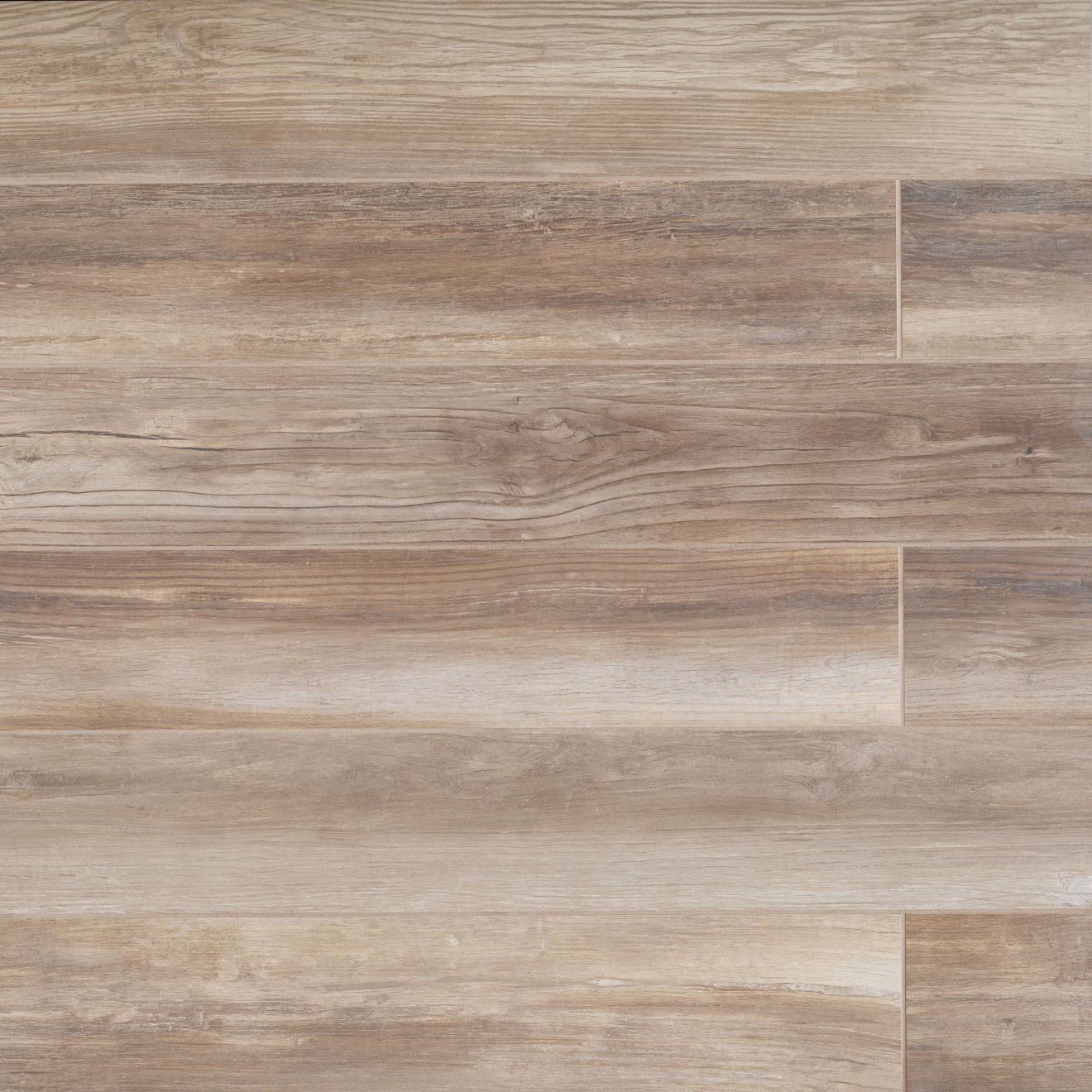 Shine 8" x 48" Honed Porcelain Tile in Beige