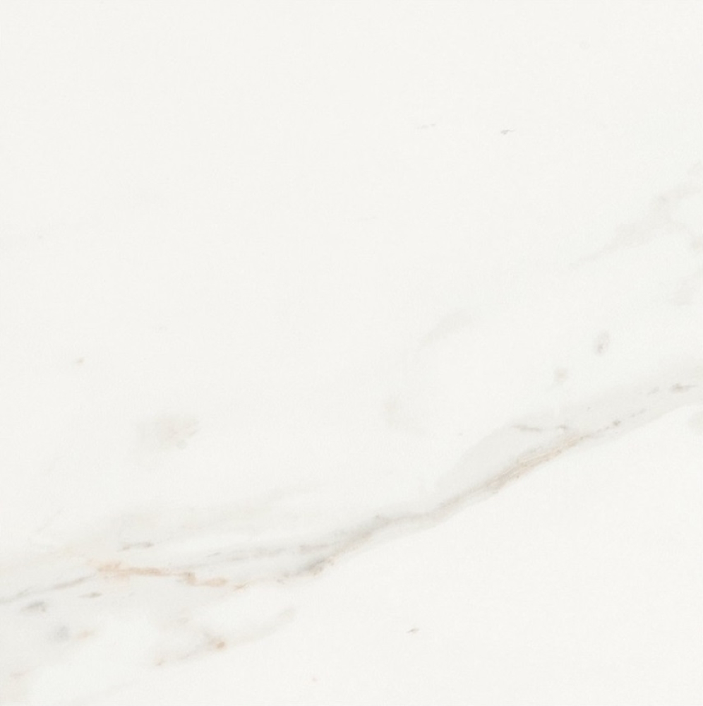 Calacatta Levigato 24 X 24