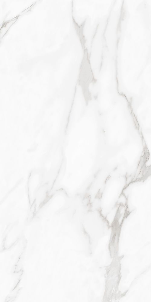 Carenza Bianca Polished 24 X 48