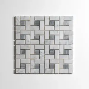 Ven. Carrara / Bardiglio Dada Mosaic